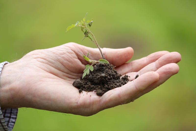 Seasonal Planting