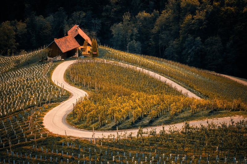 Aesthetic Garden
